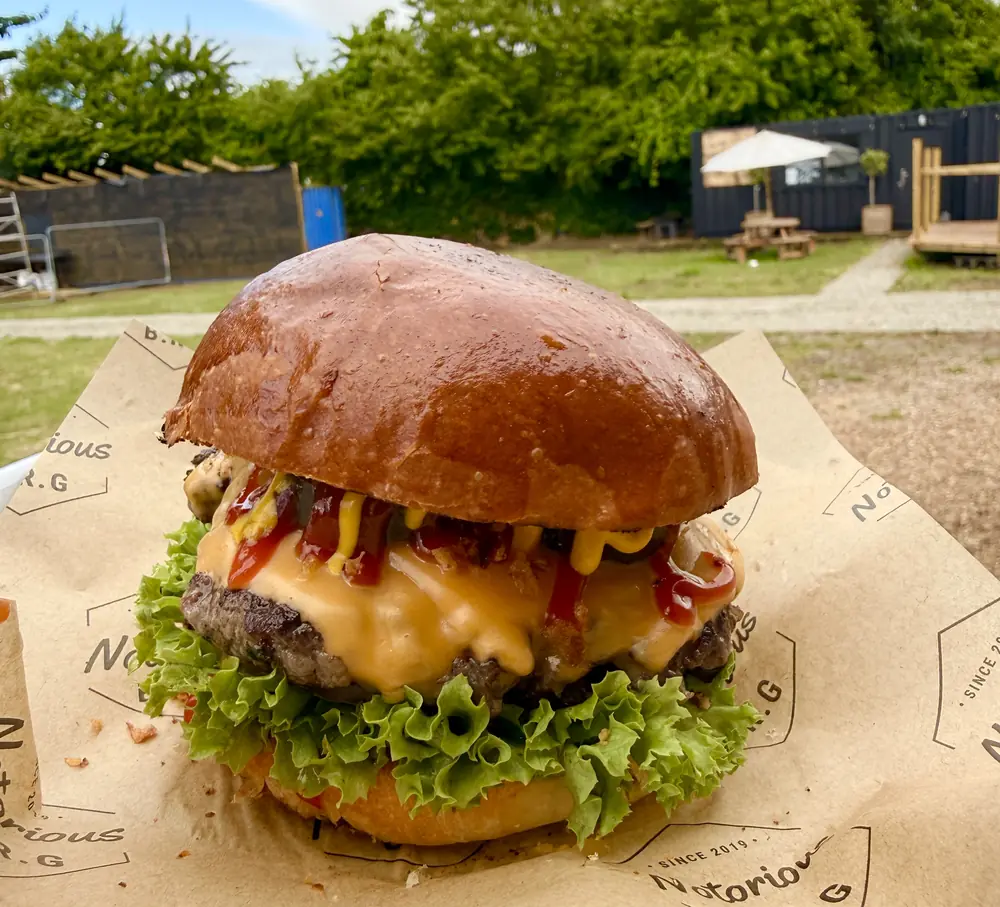 Cheeseburger on Notorious B.R.G paper, outdoors