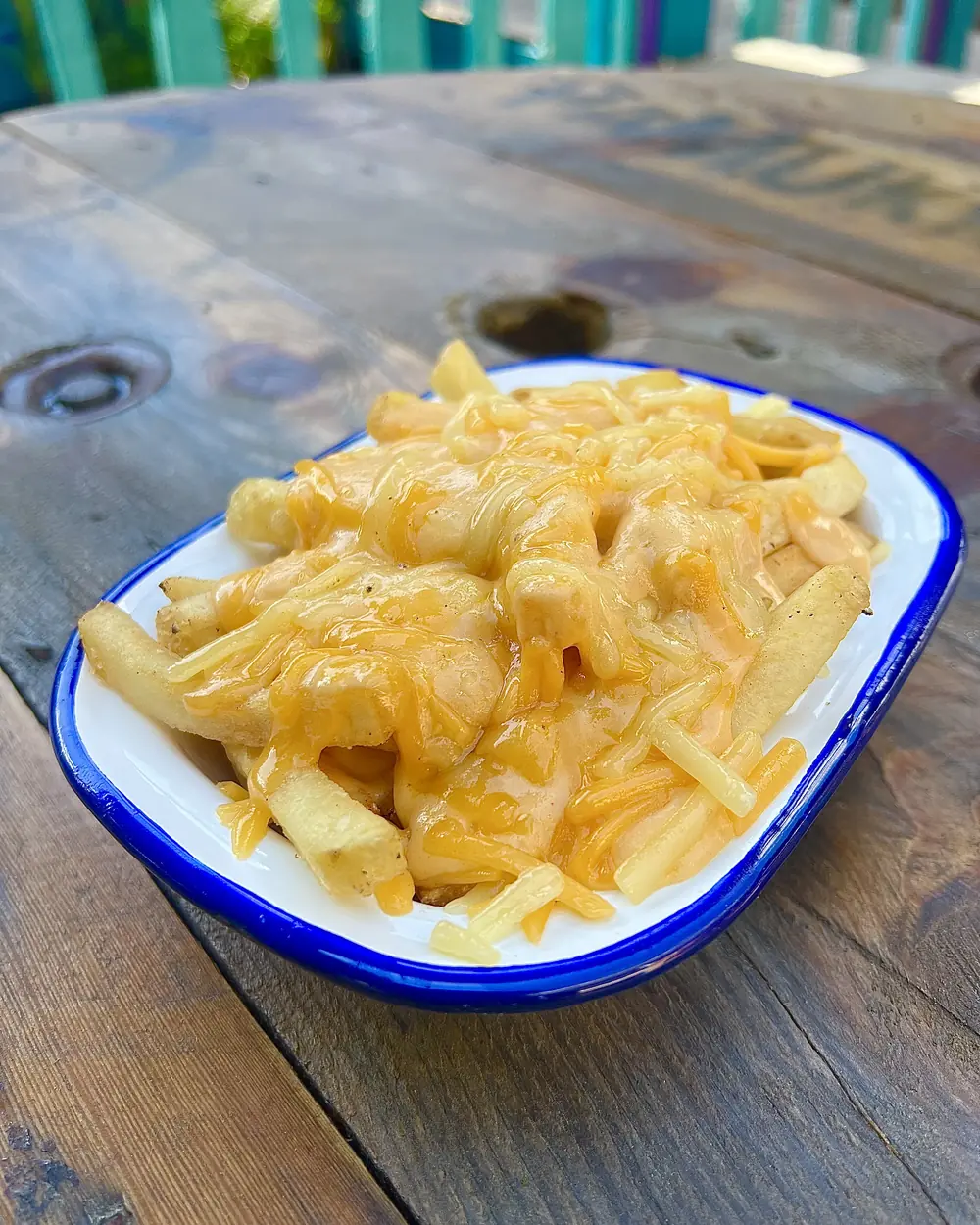 Cheesy loaded fries in an enamel dish